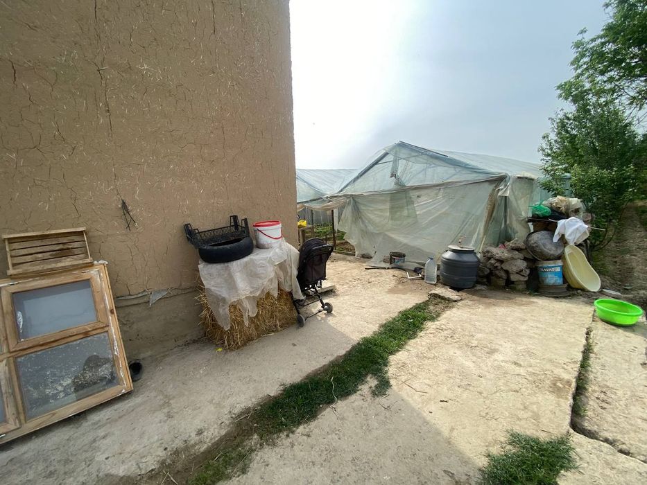 Nazarbek Turkiston da 8 sotix dala xovli sotiladi