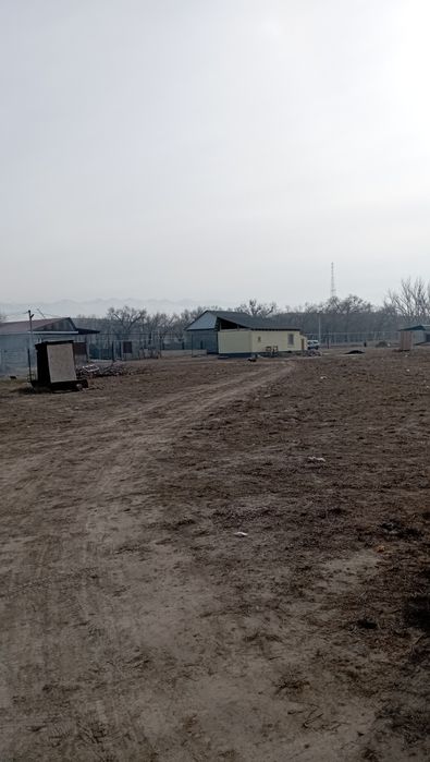 Участок жер Арай