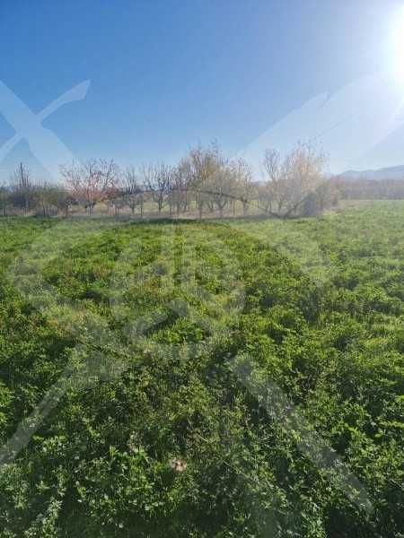 Парцел в с.Долнослав! 95499