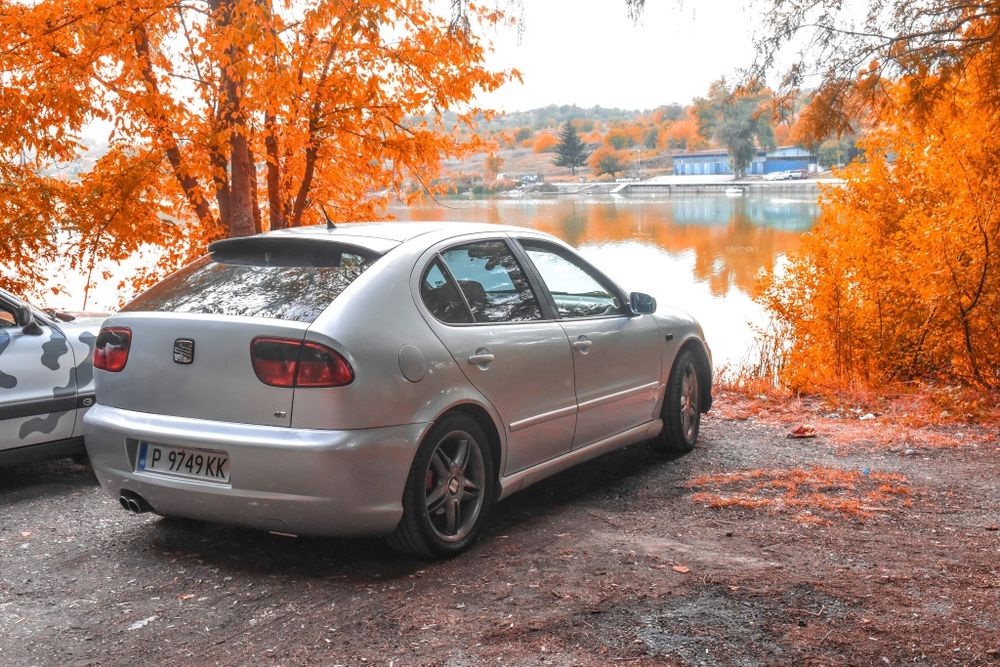 Seat Leon 1m Cupra 4x4 1.9 Tdi 150 коня Arl