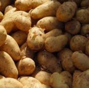 Kartoshka optom savdoga