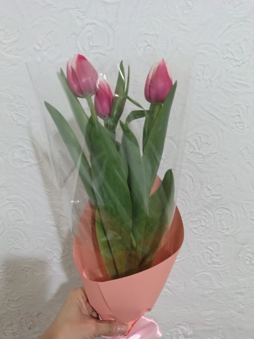 Тюльпаны красивые