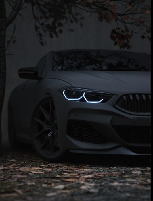 Трезвый водитель