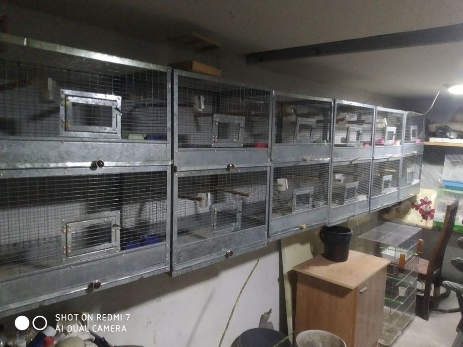 Кафас сотилади донаси 200.000