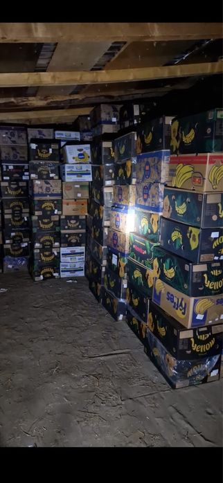 Vand baxuri noi de banane