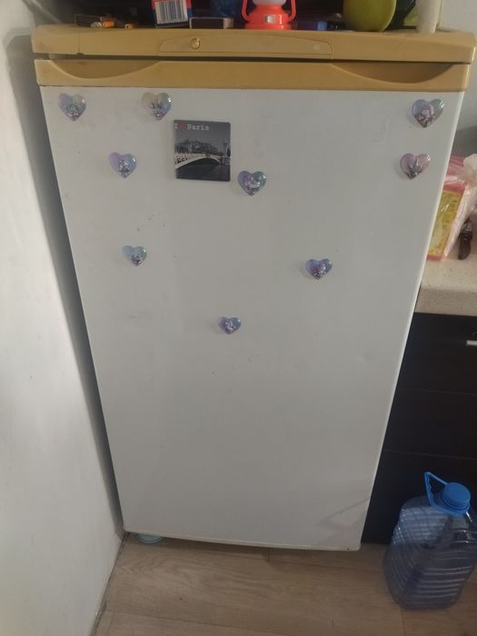 Холодильник Бирюса