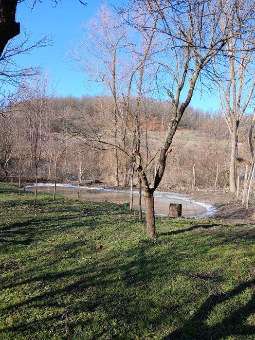 Teren Intravilan, apa, electricitate, canalizare