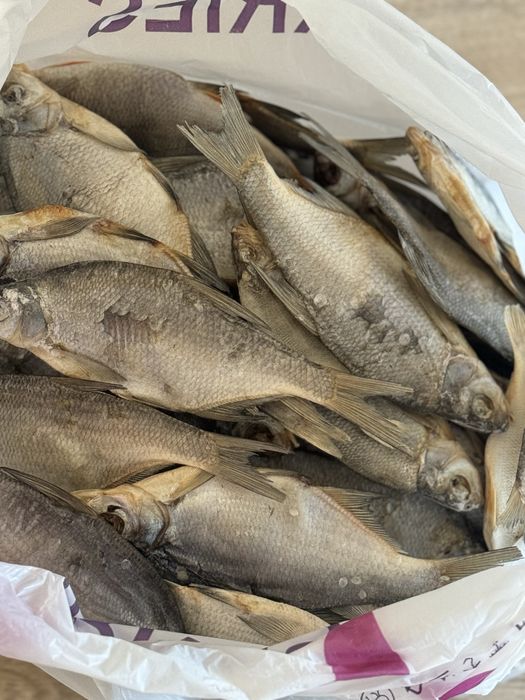 Подлещик рыба 4 кг