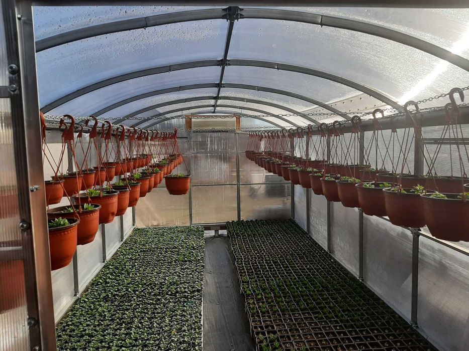 Оранжерия Primaterra Fiorista