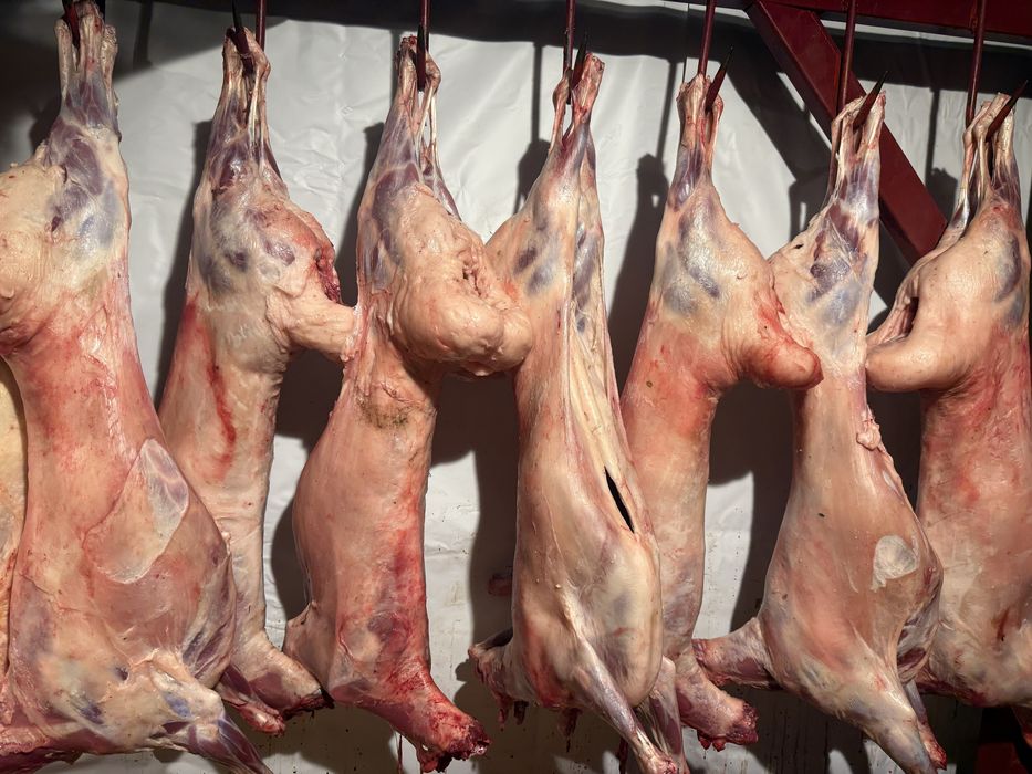 Принимаем баранина тушами