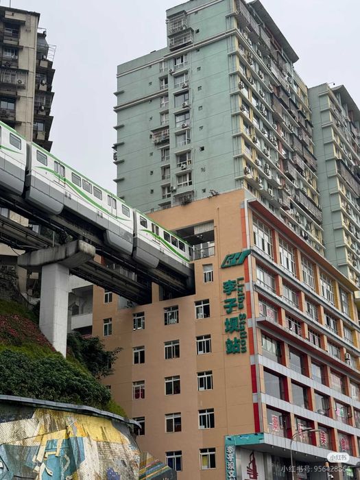 Гид в Чунцине, Переводчик в Чунцине