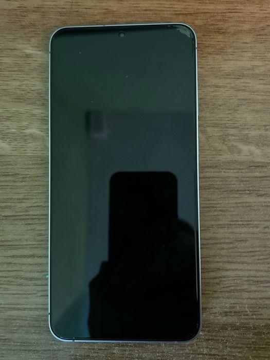 Samsung Galaxy S25 FE