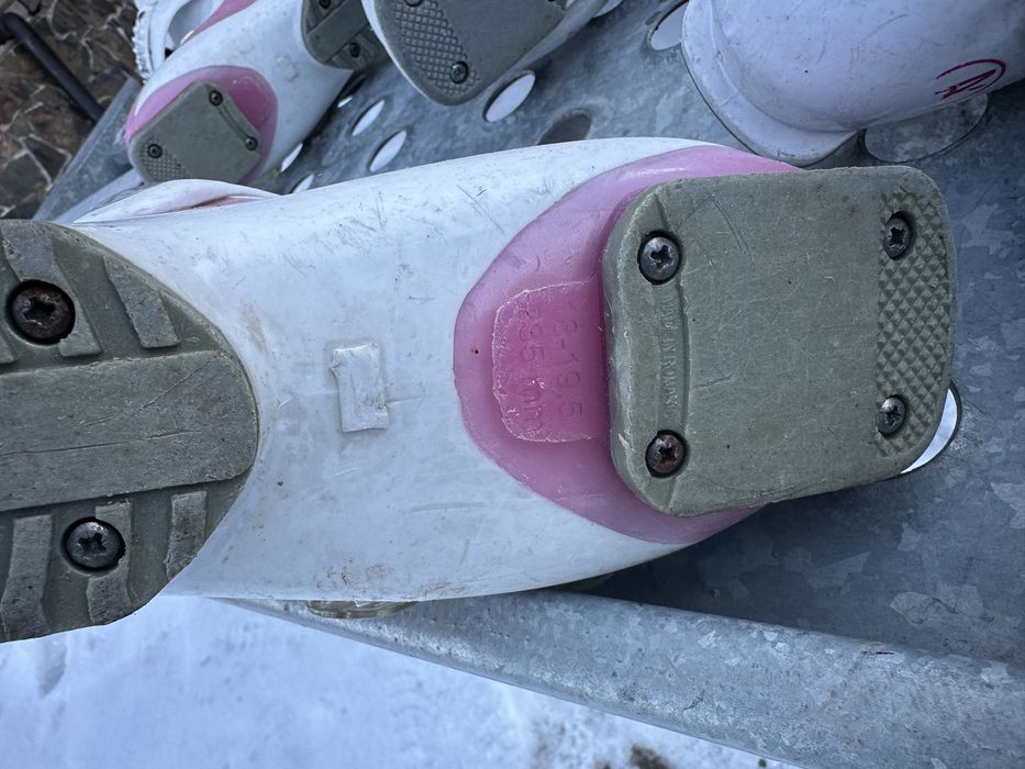 Vand clapari diferite marimi si o pereche de skiuri