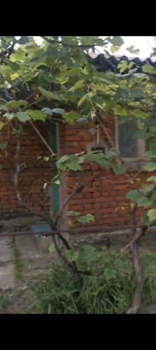 Casa de vanzare sat Crivina Comuna Gorgota