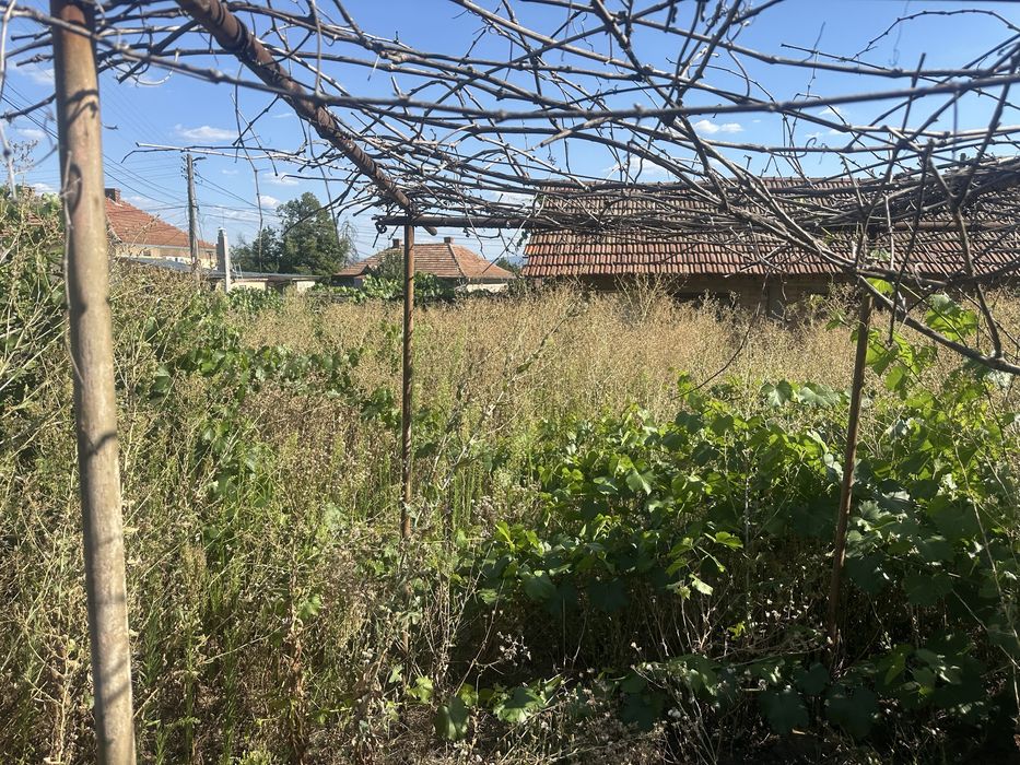 Косене , премахване и рязане на дървета