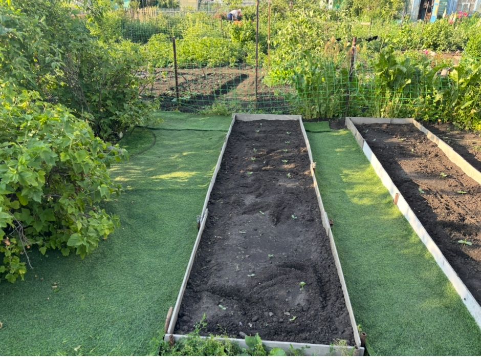 Продам дачу напротив Пестрого