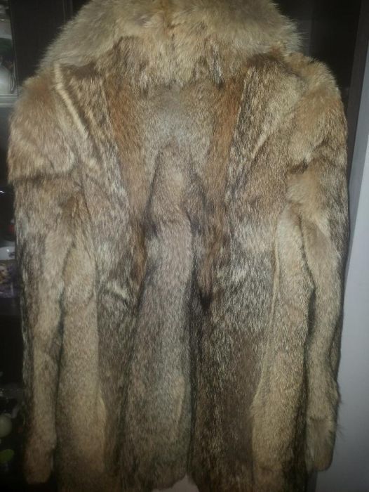 blana vulpe polara naturala