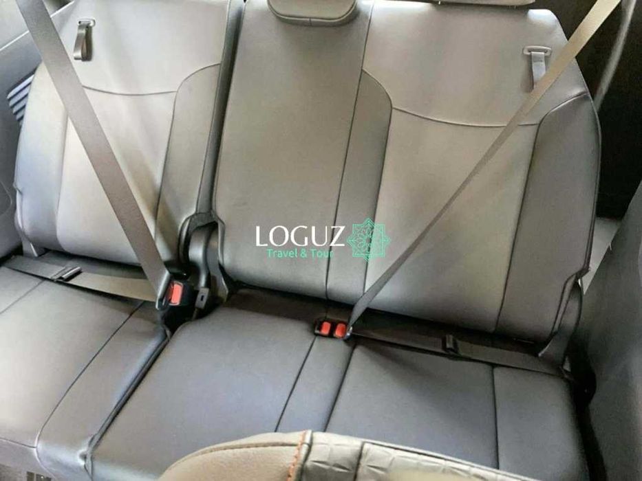 гид-водитель на минивене для поездок и экскурсий по Ташкенту и окрестн