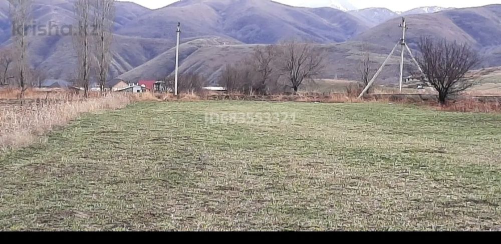Сдам в аренду участок КХ