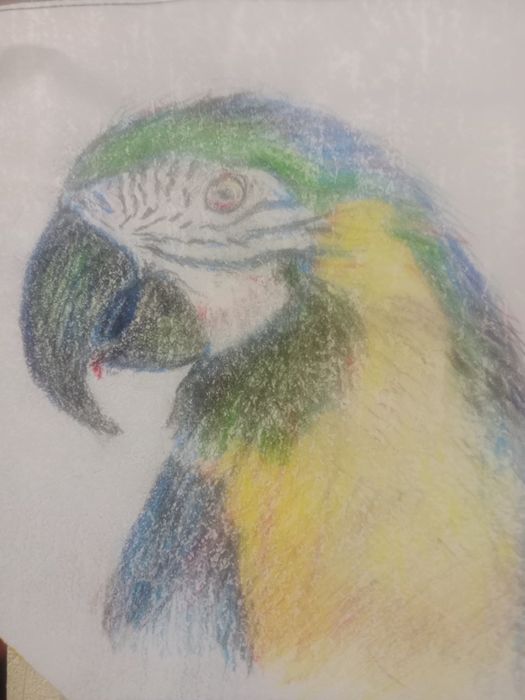 Продам картины для дома,офиса и т.д .