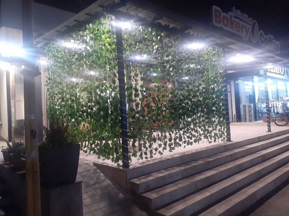 Искусственный плющ. Виноградная лаза