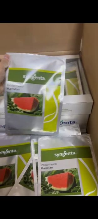 Каристан семена арбуза