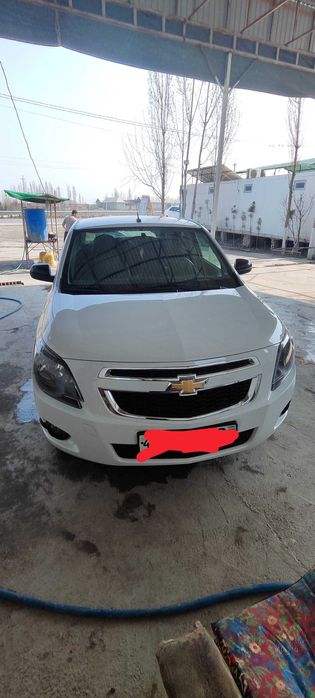 Cobalt Midnight 2025