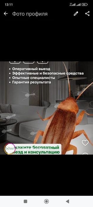 Дезинфекция от клопов