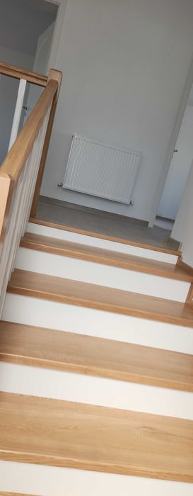 Casă Albota  1500mp teren