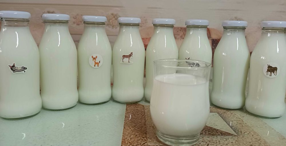 Vând lapte de măgăriță Premium.