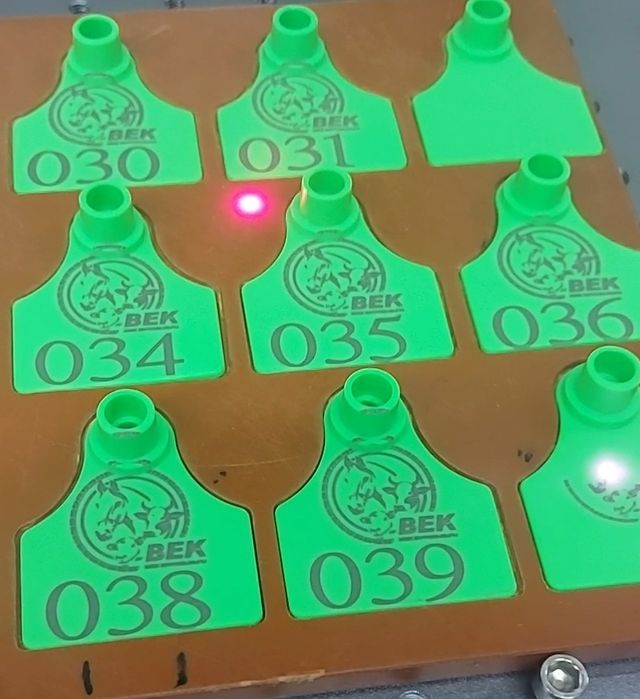 Ер адам өзінің ұрығын ішеді