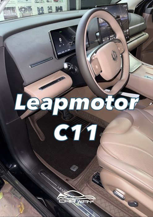 9D polik / коврики для Leapmotor C11