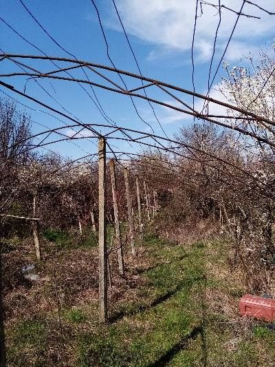 Ферми за оранжерия