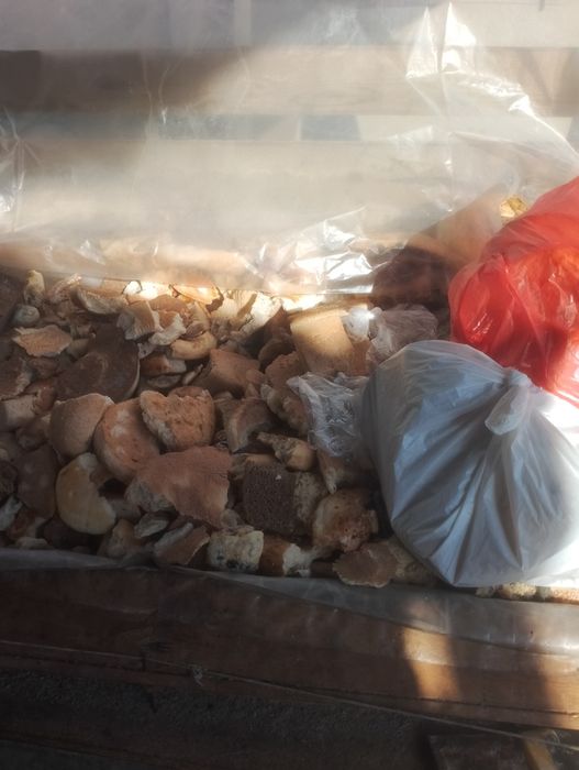 Яшнобод туманида