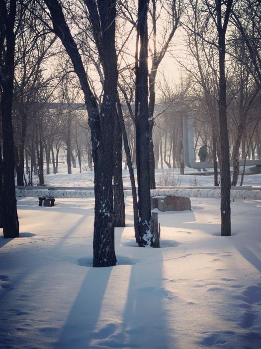 Nikon D5200 фотоаппарат