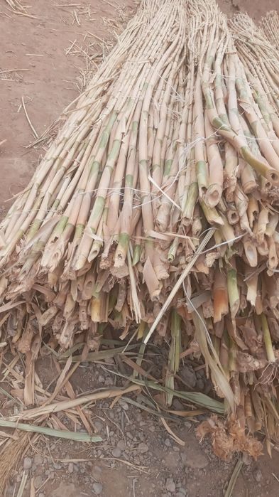 G‘arov sotiladi narxi 400mingso‘m kelishtirilari