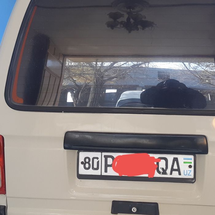 Damas 2008 mayor sveji  mean  bor