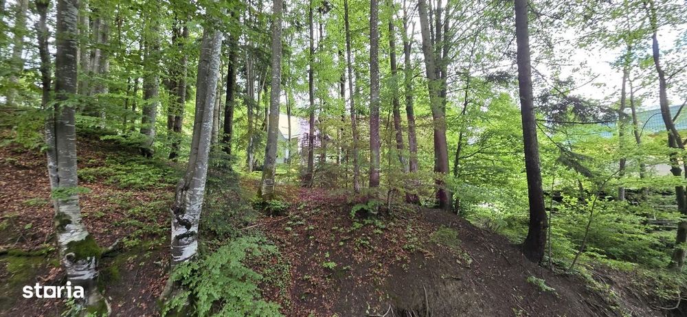Teren intravilan 720 mp Sinaia