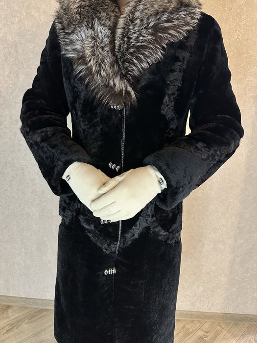 Шума цигейка/писец