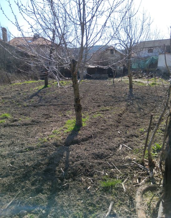 Продава се Къща в с. Драговищица, Област Кюстендил - 50 кв.м за 317 €/кв.м - Снимка #3