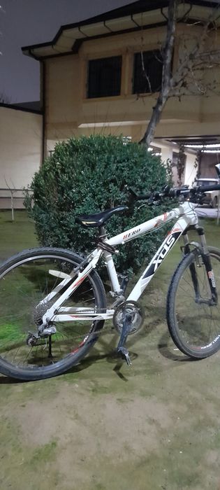 шамшод куп йиллик