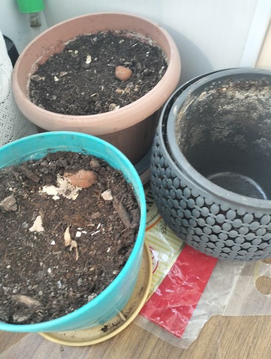 Продам горшки для цветов