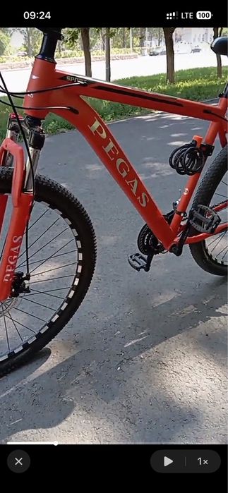 Велик Pegas  сост хороша