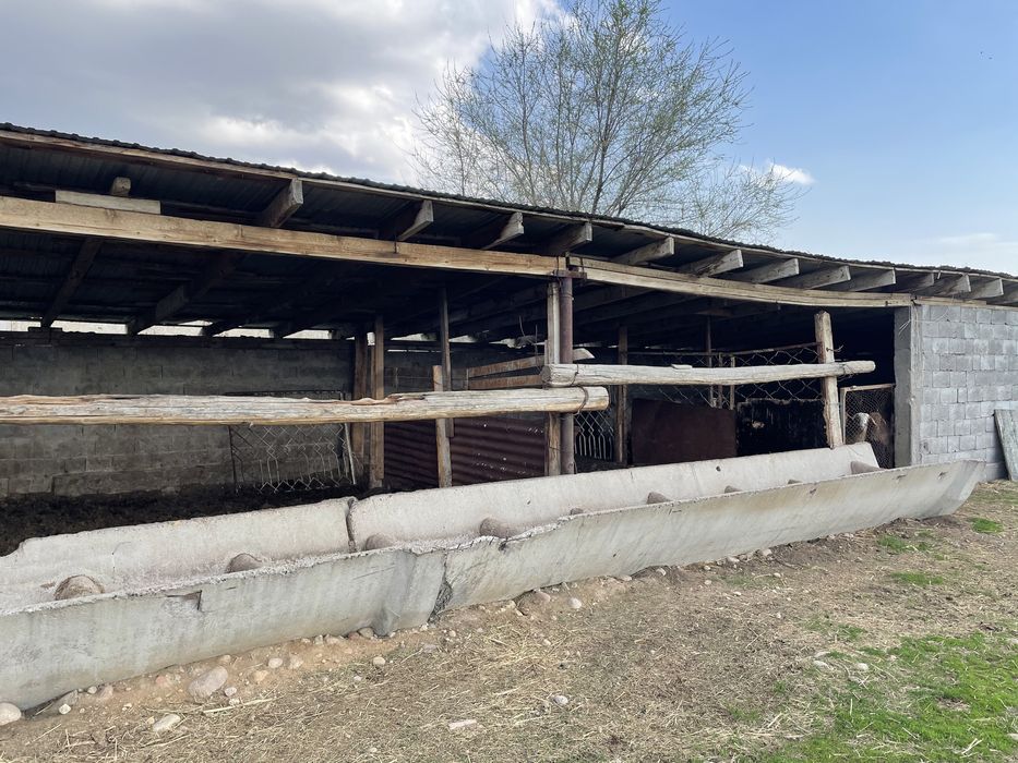 Продам фазенду.