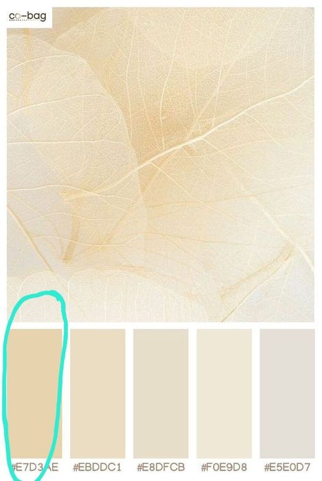 Продаются туфли б/у на каблуке