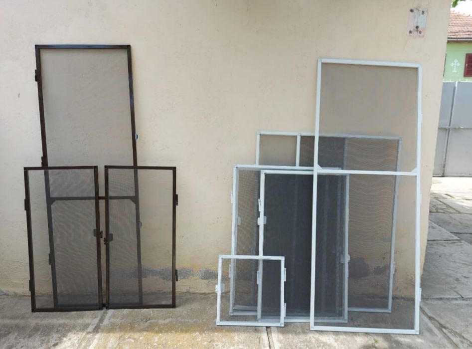 Plase insecte/ tantari