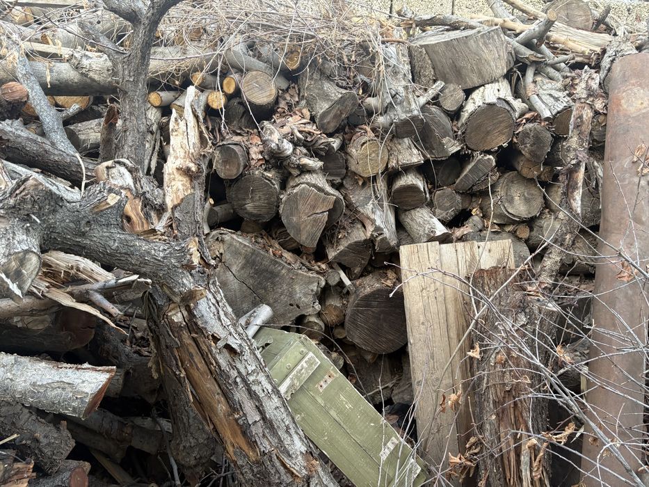 Oʻtin sotiladi xar xil daraxtlarniki