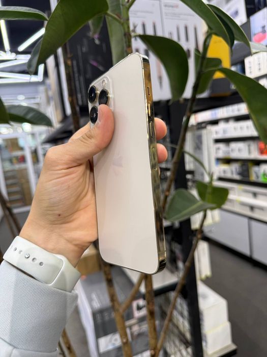 IPhone 13 Pro Max / 256 Gb