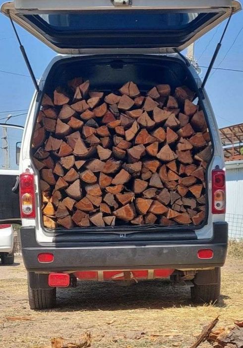 Утин сотилади  мевали ва мевасиз копланган холда хам бор