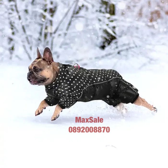 Ватирано зимно яке за куче худи ватирано двулицево